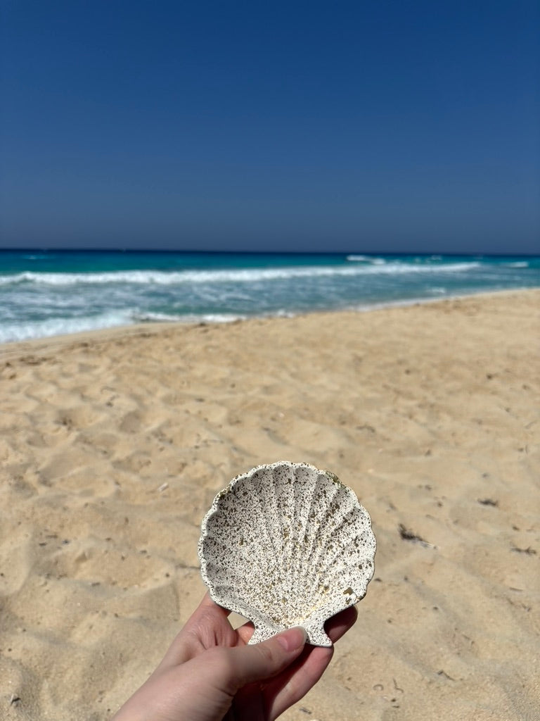 Seashell