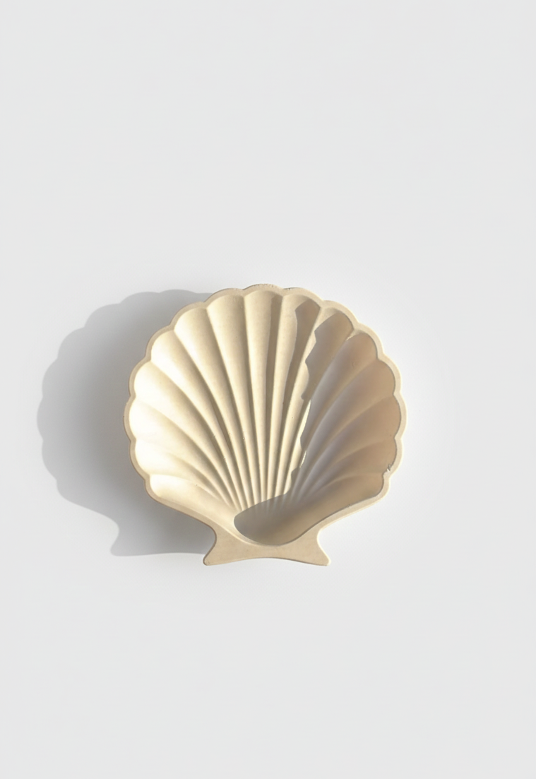 Seashell