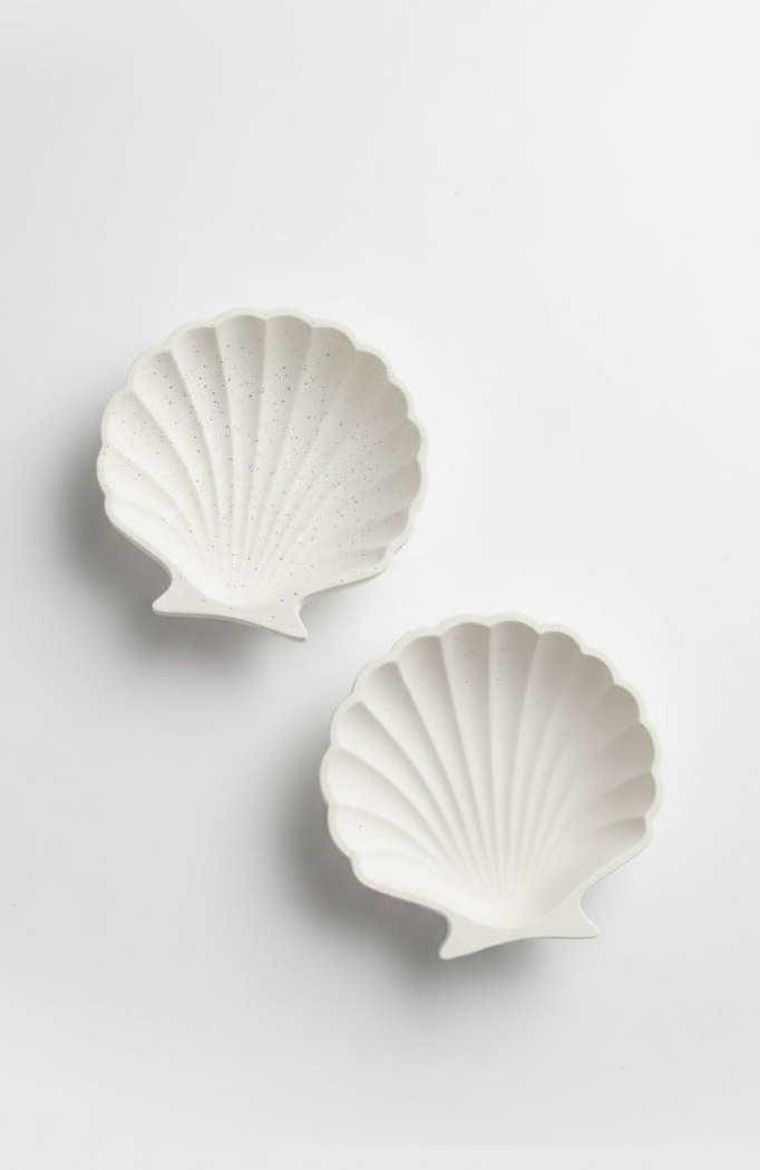 Seashell